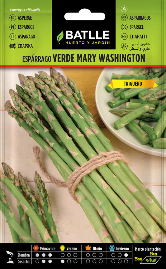 Asparagus Seeds