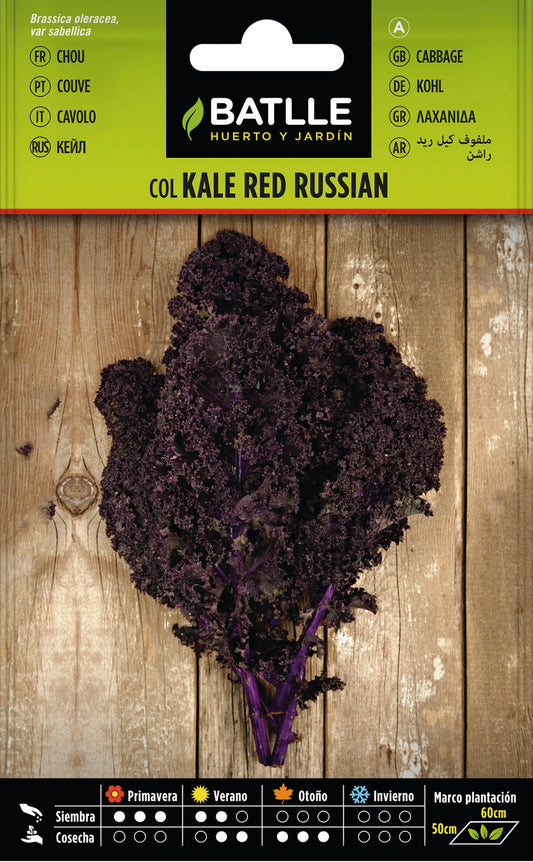 Red Russian Kale