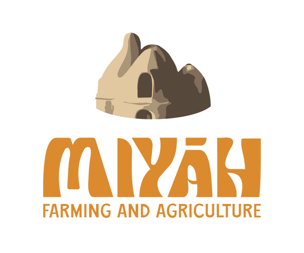 Miyāh 